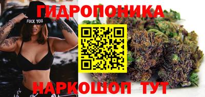 jwh Гай