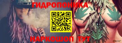 амф Гатчина