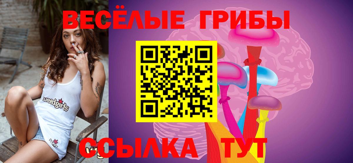 Галлюциногенные грибы прущие грибы Калуга