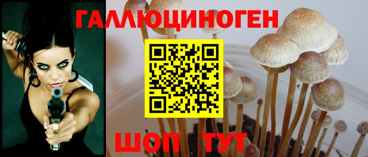 Псилоцибиновые грибы Cubensis  Вход с VPN  дарнет шоп  Калуга 
